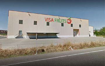 VISA FRUITS