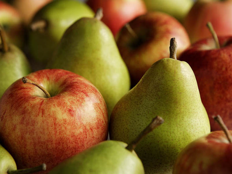 ilerfred sectores fruta verdura