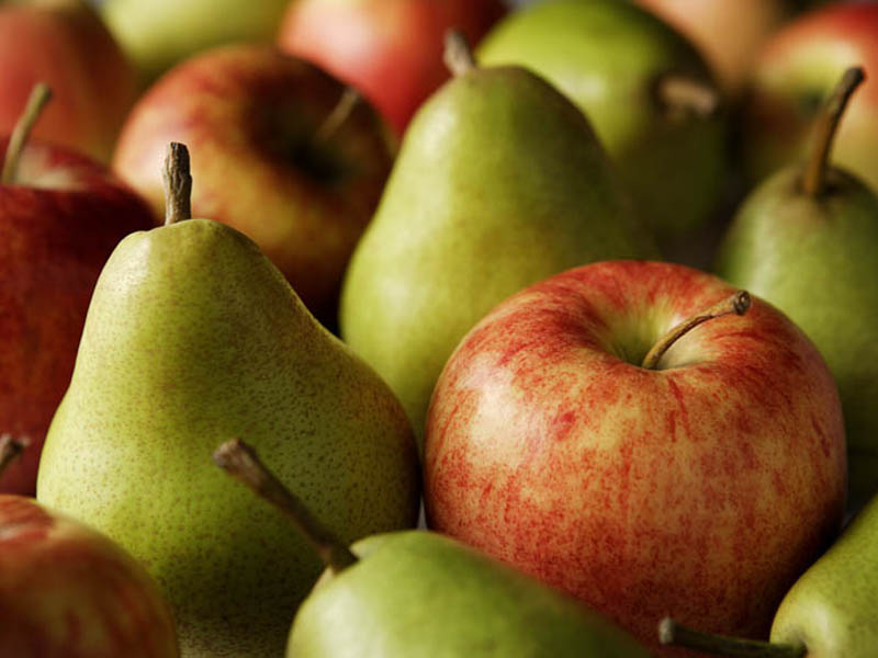 ilerfred sectores fruta verdura
