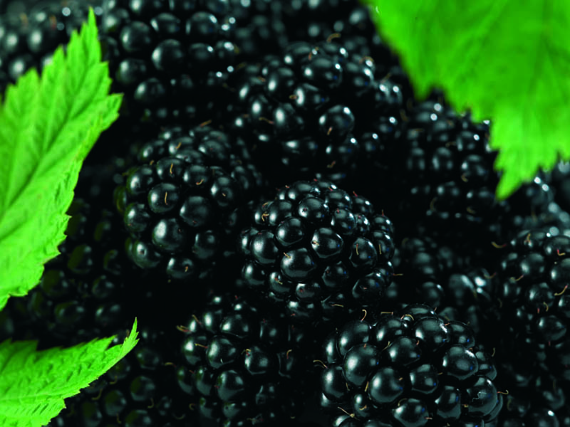 ilerfred sectores fruta verdura