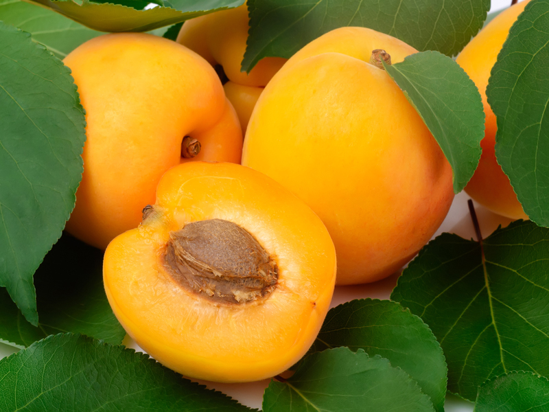 ilerfred-sectores-fruta-verdura-10