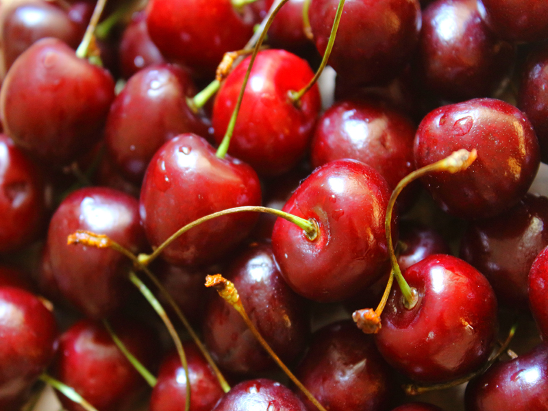 ilerfred-sectores-fruta-verdura-11