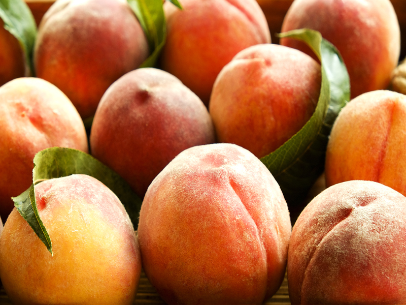 ilerfred-sectores-fruta-verdura-12