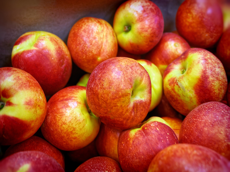 ilerfred-sectores-fruta-verdura-13
