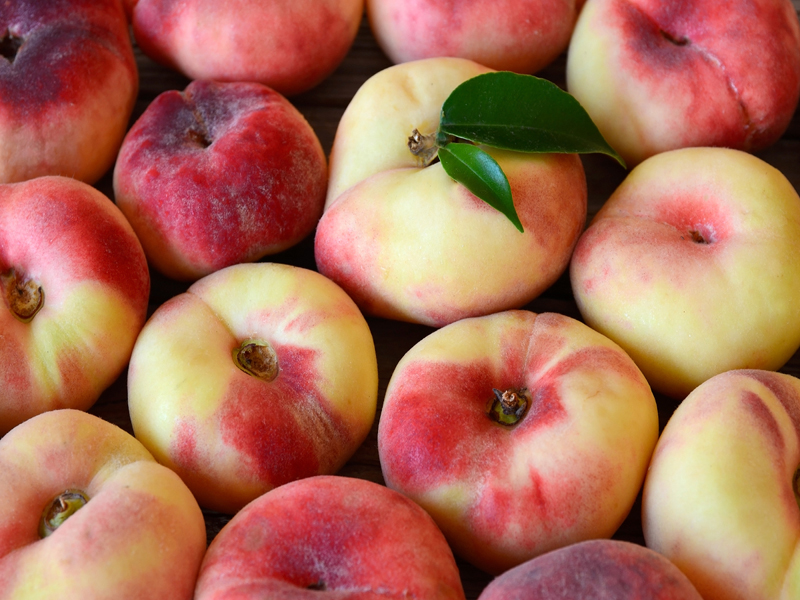 ilerfred-sectores-fruta-verdura-14