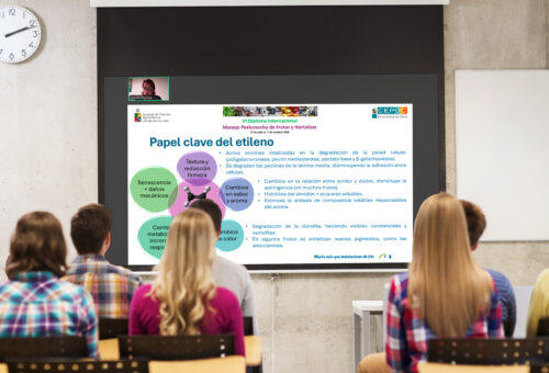 La experiencia de Ilerfred en maduración artificial llega a la Universidad de Chile